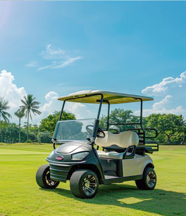 Carrito de golf